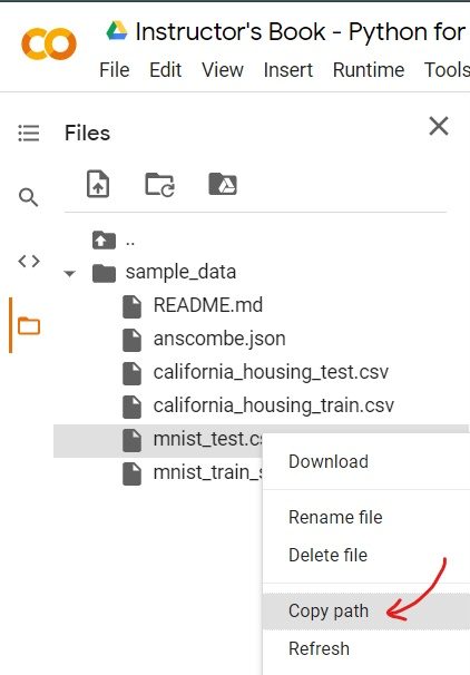 Inked colab copy path